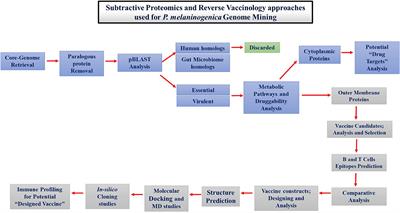 Proteome level analysis of drug-resistant Prevotella melaninogenica for the identification of novel therapeutic candidates